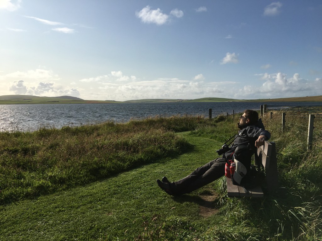 Immagine che contiene erba, esterni, panca, campo

Descrizione generata automaticamente