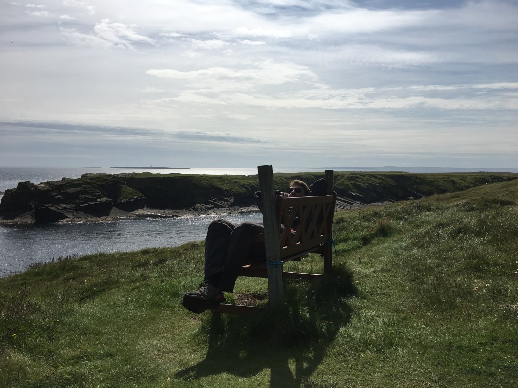 Immagine che contiene erba, esterni, acqua, campo

Descrizione generata automaticamente